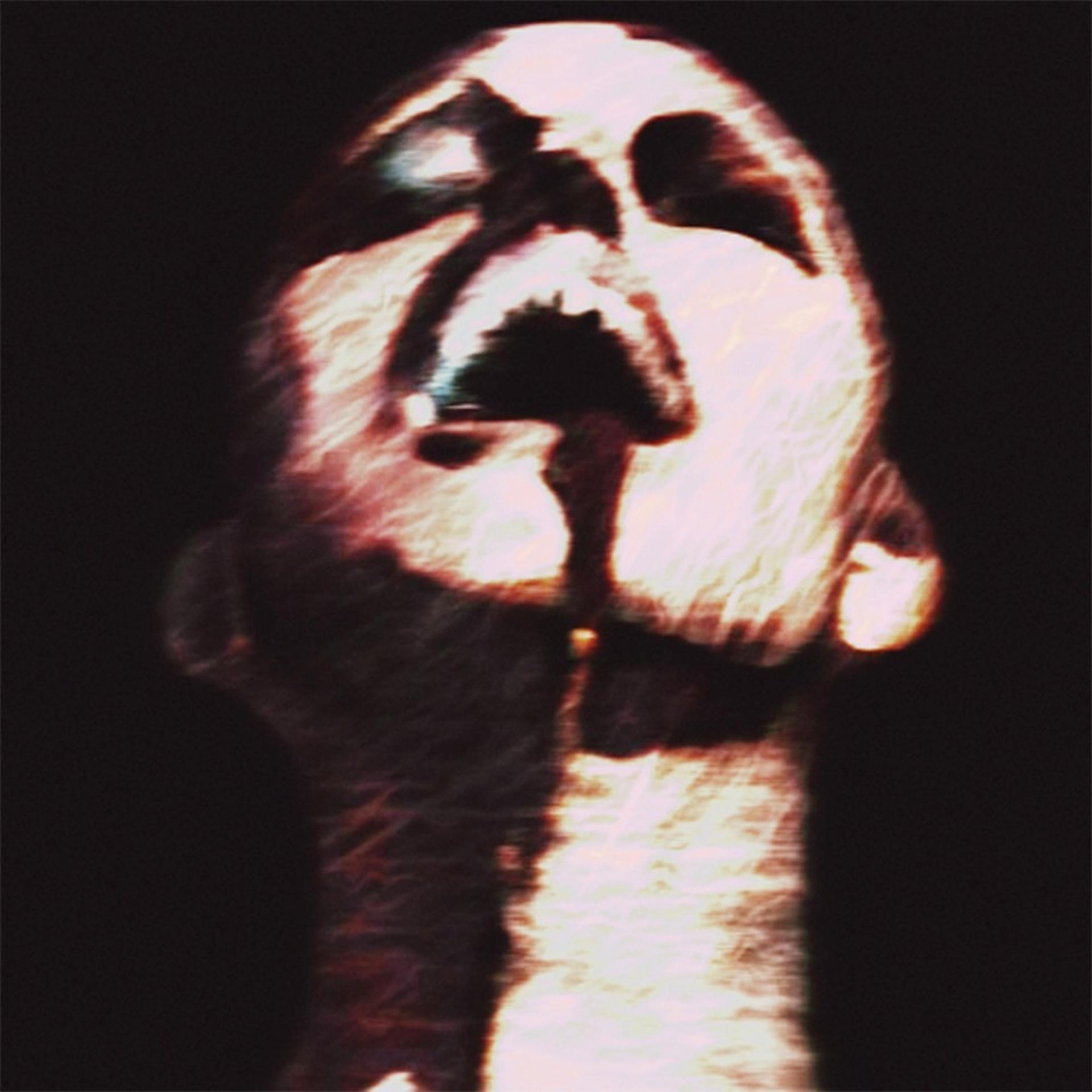 Karos - 2lit (Explicit)