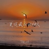 谭楚睿 - 夏夜最后的烟火(当我抬起头 你正看向我)