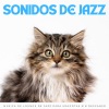 Jazz 2 Relajación、Jazz suave puro、Mascotas relajarse - Patas Y Jazz