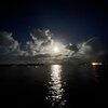 Wrighty - CHILL VIBEZ