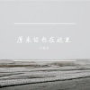 七滴泪 - 败 (Live)