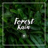 24H Rain Sounds - Season Closed