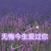 追梦 - 无悔今生爱过你