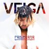 Deejay Veiga - Caminhada