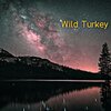 Teddy Irizarry - Wild Turkey