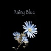 饭碗的彼岸、夜莺与玫瑰 - Rainy Blue (蓝色阴雨)