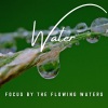 Natural Waters、Nature Sounds With Music、Focus and Concentration《Guided Focus by Liquid Zen》[MP3/LRC]