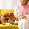 Piano Toys、Rained、Raining for Calm Pets - Pet-Friendly Rain for Piano Relaxation