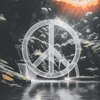 Drunken Beats - Peace & Harmony
