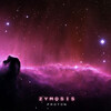 Zymosis - Proton