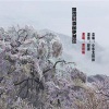 黄利梅 - 飘雪的季节更想你