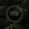 Iguata、Jane Carpatio《Suave Llover》[MP3/LRC]