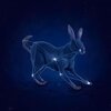 Canopus Sleep - The Hare