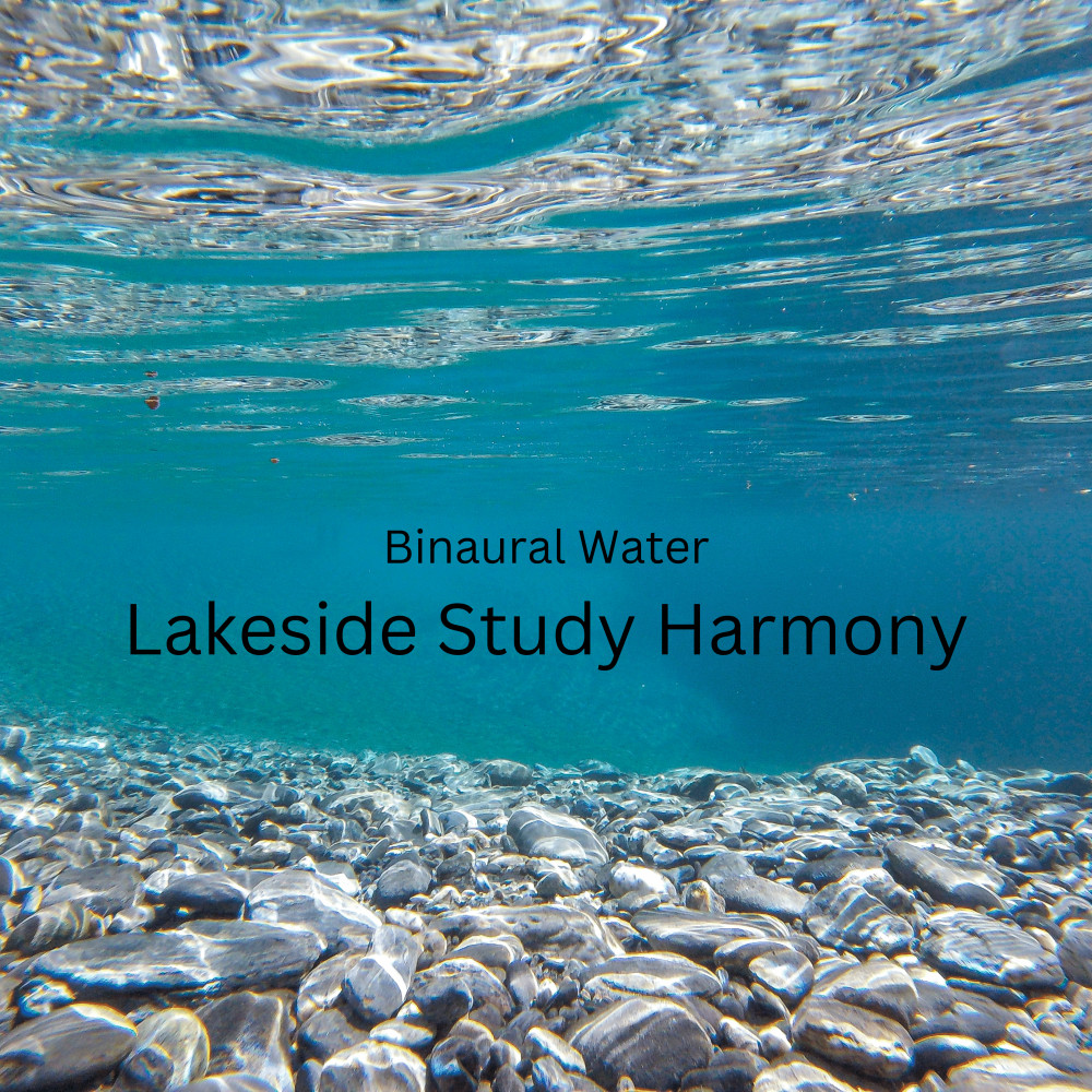 Intentional Vibes、Streams of Dreams、Studying Music and Study Music - Binaural Misty Lake Study