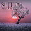 Deep Sleep Maestro《Relax Before Bed》[MP3/LRC]