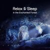 Sleeping Aid Music Lullabies - Midnight