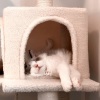 Silentography、Rain Sounds for Relaxation、Sleepy Cat - Serene Serenades in Rainfall Piano