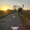 Charley Beck、Mad.S - More Than a Memory (feat. Mads)