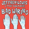 Jeffrey Lewis、The Voltage - Exactly What Nobody Wanted