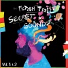 Pictish Trail - Secret Sound #2