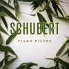 Eric Rose、Franz  Schubert - Fantasie in C-Maj, Op-15 D-760, 1st Mov: Franz Schubert