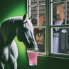Horse Attack Sqwad - Sippaa nakkivesi