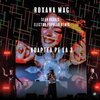 Roxana Mag、Sean Norvis - Noaptea pe la 3 (Sean Norvis Electro Popular Remix)