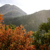 Relaxation Rain Meditation、Calm Music Guru、Relax Bro - Harmonic Rainfall Meditations