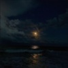 ciaffa、fedo DJ - moonlight on the river (best part looped)