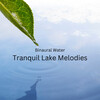 Binaural Landscapes、Riverside Underground、Binaural Boy - Binaural Water Lakeside Calm