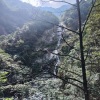 忱百媚 - 天若有情翻唱