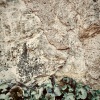 SineRider - Wavelet