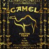 Funtom、Topa - Camel (feat. Topa)(Explicit)