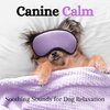 Pet Sandman、Dog Music Therapy、Relaxmydog - Puppy Peace: Melodic Moments (feat. Dog Music Therapy & Relaxmydog)