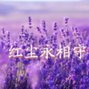 追梦 - 红尘永相守