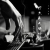 杨苑子艺 - 打工之人好心酸