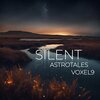 AstroTales、Voxel9 - Silent