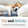 Pet Sandman、Dog Music Therapy、Relaxmydog - Doggy Dreams: A Journey to Tranquility (feat. Dog Music Therapy & Relaxmydog)