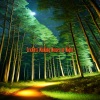 Sound of Crickets - Meditating with the Sound of Crickets