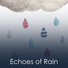 Recording Nature、Sounds of Nature Noise、Nature Of Sweden - Showers in 1998