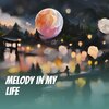 DJ Rian - Melody in My Life