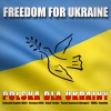 Grzegorz Wilk、Anna Turska、Polska Dla Ukrainy: Krzysztof Rządek、Paweł Nawrocki、Nataliya、Emma《Freedom For Ukraine (Radio Edit)》[MP3/LRC]