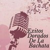Frank Reyes - Voy a Dejarte de Amar