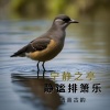 清音古韵 - 交织的幽谷 (自愈排箫)