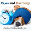 Pet Sandman、Dog Music Therapy、Relaxmydog - Tranquil Trails: Songs for Dog Dreams (feat. Dog Music Therapy & Relaxmydog)