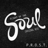 P.R.O.S.T. - Flight of the Soul (Original Mix)