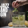 Jazz And Gin《Inside》[MP3/LRC]