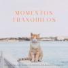 Café Chillhop、Café salón de jazz、Mascotas relajarse - Listas De Reproducción Para Mascotas Pacíficas
