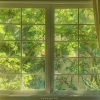 夏忆年 - 童话镇Plus