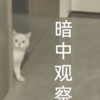 忆梦不高兴 - 11